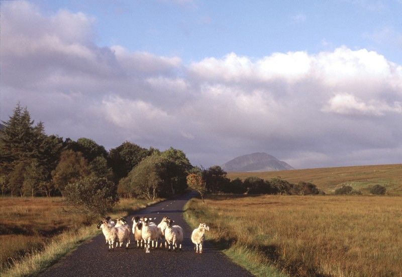 Mount Errigal Hotel, Conference & Leisure Centre Letterkenny Bagian luar foto